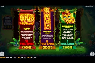 3 Buzzing Wilds Free Spins Bonus Pick