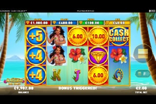 Alohawaii Cash Collect Mobile Slot Game