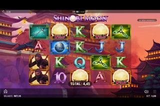 Shinobi Moon Mobile Slot Game