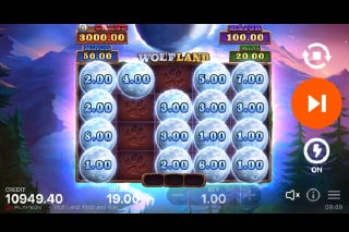 Wolf Land Hold and Win Bonus Game