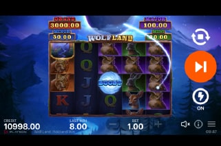 Wolf Land Hold and Win Boost Feature