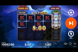 Wolf Land Hold and Win Mobile Slot Game