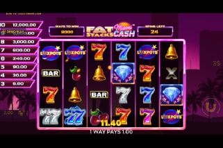 Fat Stacks Miami Cash Slot Feature