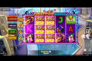 Funky Buddha Slot Expanding Wilds
