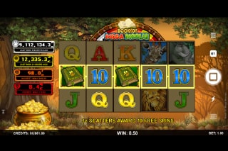 Book of Mega Moolah Slot Win
