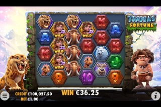 Tundras Fortune Free Spins Bonus Scatters