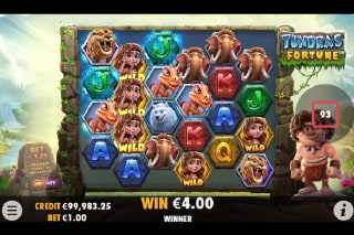 Tundras Fortune Mobile Slot Game