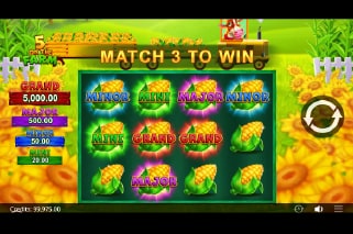 5 On The Farm Jackpot Game