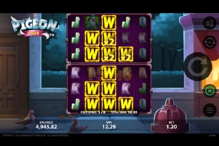 Pigeon Hut Free Spins Win