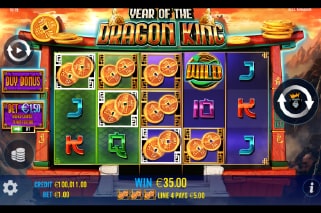 Year Of The Dragon King Slot Win