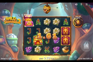 Wild Swarm 2 Wild Win at Level 2