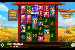 Barnyard Megahays Megaways Slot Win