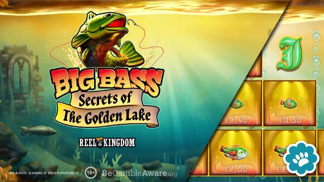 Big Bass Bonanza Review: Vang de Grote Vissen in dit Spannende Online Casino-Spiel
