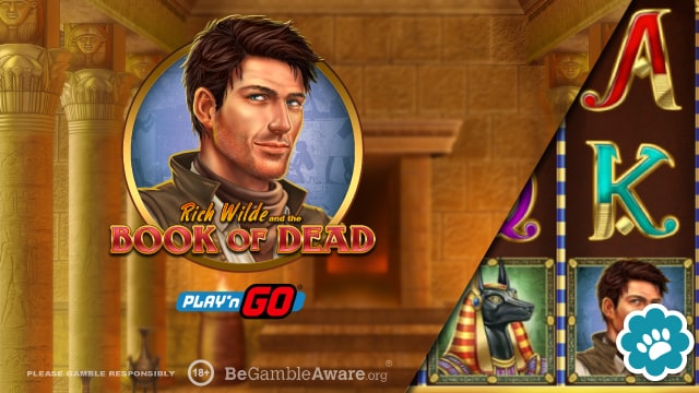 Book of Dead Free Play