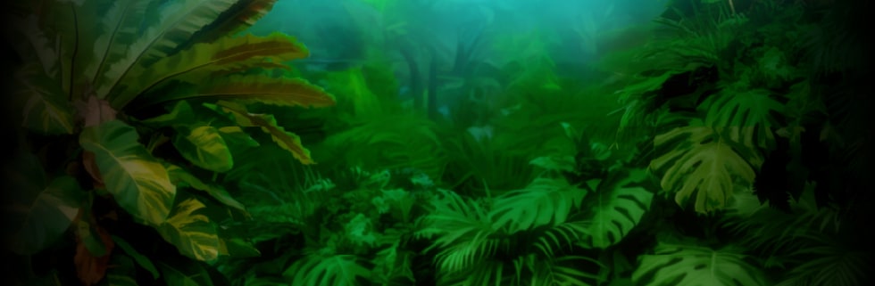 Jungle Spirit Megaways