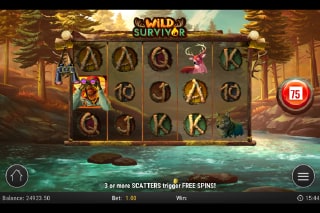 Wild Survivor Bonus Feature