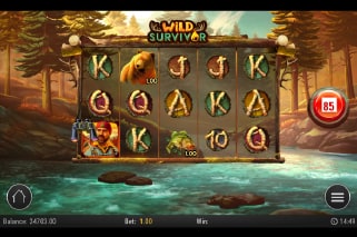 Wild Survivor Slot Game