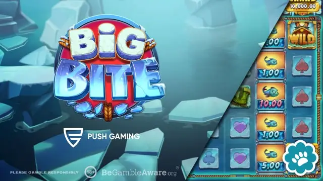 Big Bite Demo