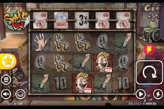 Skate Or Die Bonus Game