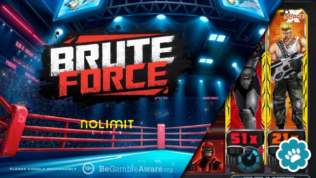 Brute Force Demo Game