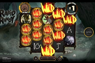 Rabid Randy Free spins Bonus With Wilds