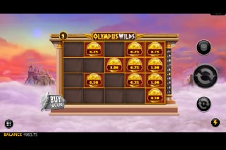 Olympus Wilds Hold N Spin Game