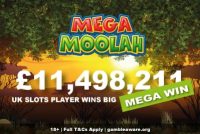 Mega Moolah Jackpot Slot Win UK