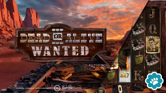 Dead or Alive 3 Wanted Demo Game