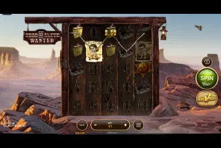 Dead or Alive 3 Wanted Slot Game